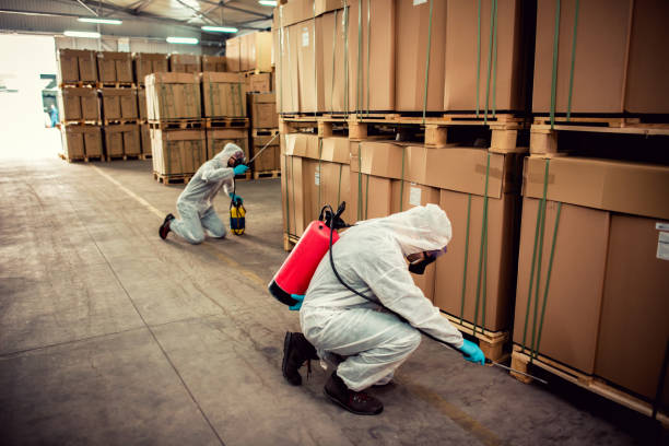 Best Affordable Pest Control Services  in Loxahatchee Groves, FL