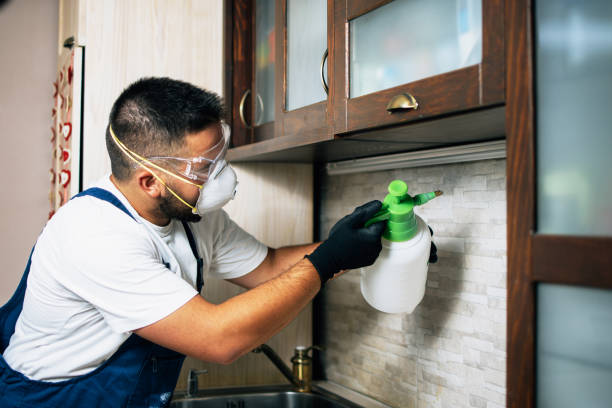 Best Wasp Removal Services  in Loxahatchee Groves, FL