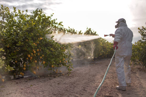 Best Pest Control Near Me  in Loxahatchee Groves, FL