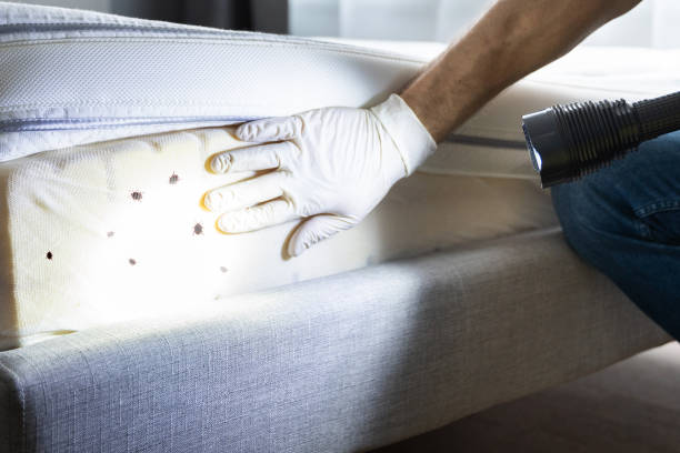 Best Pest Prevention Services  in Loxahatchee Groves, FL